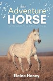 The Adventure Horse - Book 5 in the Connemara Horse Adventure Series for Kids (Connemara Horse Adventures, #5) (eBook, ePUB)
