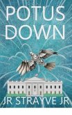 POTUS DOWN (eBook, ePUB)
