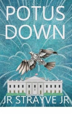 Cover POTUS DOWN (eBook, ePUB)