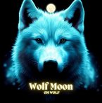 Wolf Moon (eBook, ePUB)