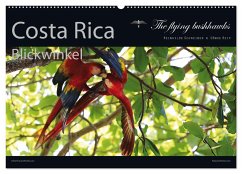 Costa Rica Blickwinkel 2024 (Wandkalender 2024 DIN A2 quer), CALVENDO Monatskalender - flying bushhawks, The