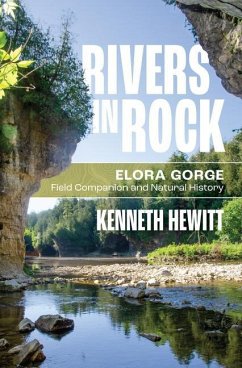 Rivers in Rock - Hewitt, Kenneth