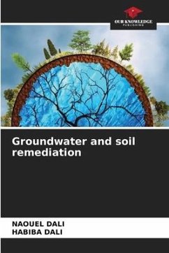 Groundwater and soil remediation - DALI, NAOUEL;DALI, HABIBA