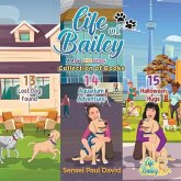 Life of Bailey: A True Life Story : Collections: Books 13, 14, 15