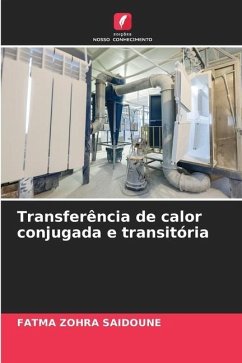 Transferência de calor conjugada e transitória - Saidoune, Fatma Zohra