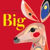 Big Big