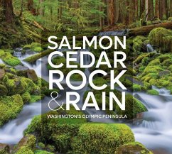 Cover Salmon, Cedar, Rock & Rain
