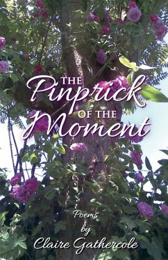 The Pinprick of the Moment - Gathercole, Claire