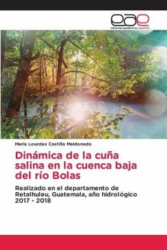 Dinámica de la cuña salina en la cuenca baja del río Bolas - Castilla Maldonado, María Lourdes