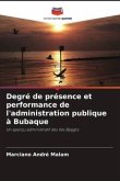 Degré de présence et performance de l'administration publique à Bubaque