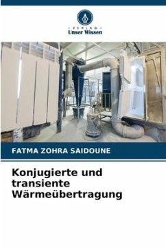 Konjugierte und transiente Wärmeübertragung - Saidoune, Fatma Zohra