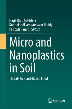 Micro and Nanoplastics in Soil (eBook, PDF)