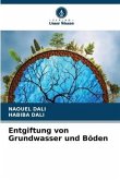 Entgiftung von Grundwasser und Böden