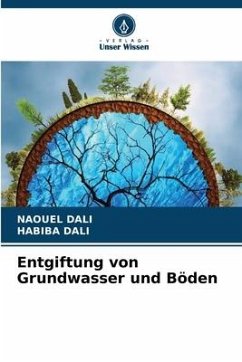 Entgiftung von Grundwasser und Böden - DALI, NAOUEL;DALI, HABIBA