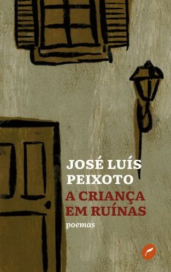 Cover A criança em ruínas