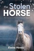 The Stolen Horse - Book 4 in the Connemara Horse Adventure Series for Kids (Connemara Horse Adventures, #4) (eBook, ePUB)