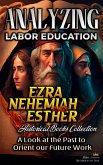 Analyzing Labor Education in Ezra, Nehemiah, Esther: A Look at the Past to Orient our Future Work (The Education of Labor in the Bible, #9) (eBook, ePUB)