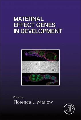 Maternal Effect Genes in Development Maternal Effect Genes in Development