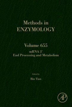 mRNA 3' End Processing and Metabolism