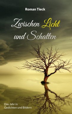 Zwischen Licht und Schatten - Tieck, Roman