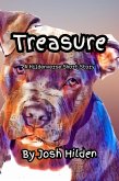 Treasure (The Hildenverse) (eBook, ePUB)