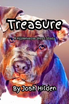 Cover Treasure (The Hildenverse) (eBook, ePUB)