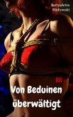 Von Beduinen überwältigt (eBook, ePUB)