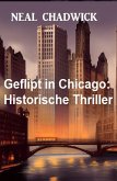 Geflipt in Chicago: Historische Thriller (eBook, ePUB)