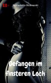 Gefangen im finsteren Loch (eBook, ePUB)