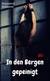 In den Bergen gepeinigt (eBook, ePUB)