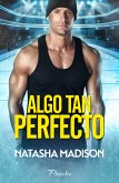 Algo tan perfecto (eBook, ePUB)