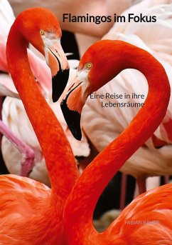 Flamingos im Fokus - Bauer, Fabian