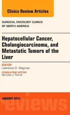 Hepatocellular Cancer, Cholangiocarcinoma, and Metastatic Tumors of the Liver, an Issue of Surgical Oncology Clinics of North America - Wagman, Lawrence