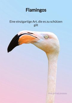 Flamingos - Eine einzigartige Art, die es zu schützen gilt - Neumann, Philipp