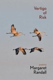 Vertigo of Risk (eBook, ePUB)
