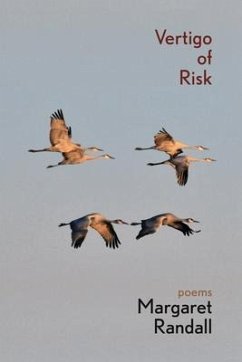 Cover Vertigo of Risk (eBook, ePUB)