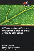 Effetto dello zolfo e del fosforo molibdeno sulla crescita del grano