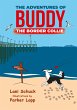 The Adventures of Buddy the Border... - Bild 1