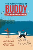 The Adventures of Buddy the Border Collie