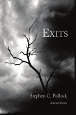 Exits (eBook, ePUB)