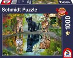 Schmidt 57392 - Dream Big! Katzen-Puzzle, 1000 Teile
