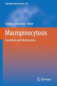 Macropinocytosis