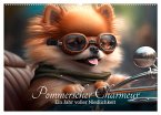 Pommerscher Charmeur Ein Jahr voller Niedlichkeit (Wandkalender 2024 DIN A2 quer), CALVENDO Monatskalender