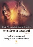 Mystères à Istanbul: Tome III: La louve numéro 1 accepte son chemin de vie