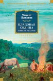 Кладовая солнца. Повести, рассказы (eBook, ePUB)