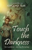 Touch the Darkness - Der Lustdämon - Eine Gay-Romantasy (eBook, ePUB)
