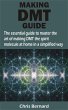MAKING DMT GUIDE (eBook, ePUB) - Bild 1