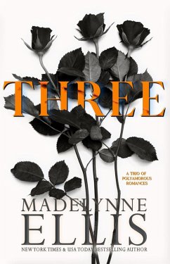 Cover Three (eBook, ePUB)