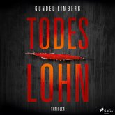 Todeslohn: Thriller (MP3-Download)