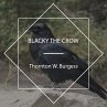 Blacky the Crow (MP3-Download) - Bild 1